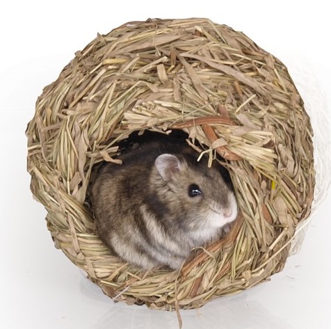 Tommi Hnízdo – koule velká pro hlodavce