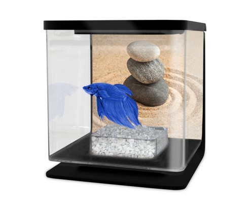 Cat-Gato Betarium Betta kit sand 2l