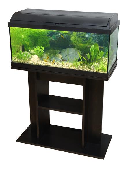 Cat-Gato Akvárium Pacific 80 x 30 x 40 cm