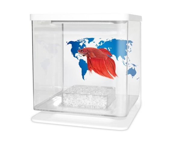 Cat-Gato Betarium Betta kit world map 2 l