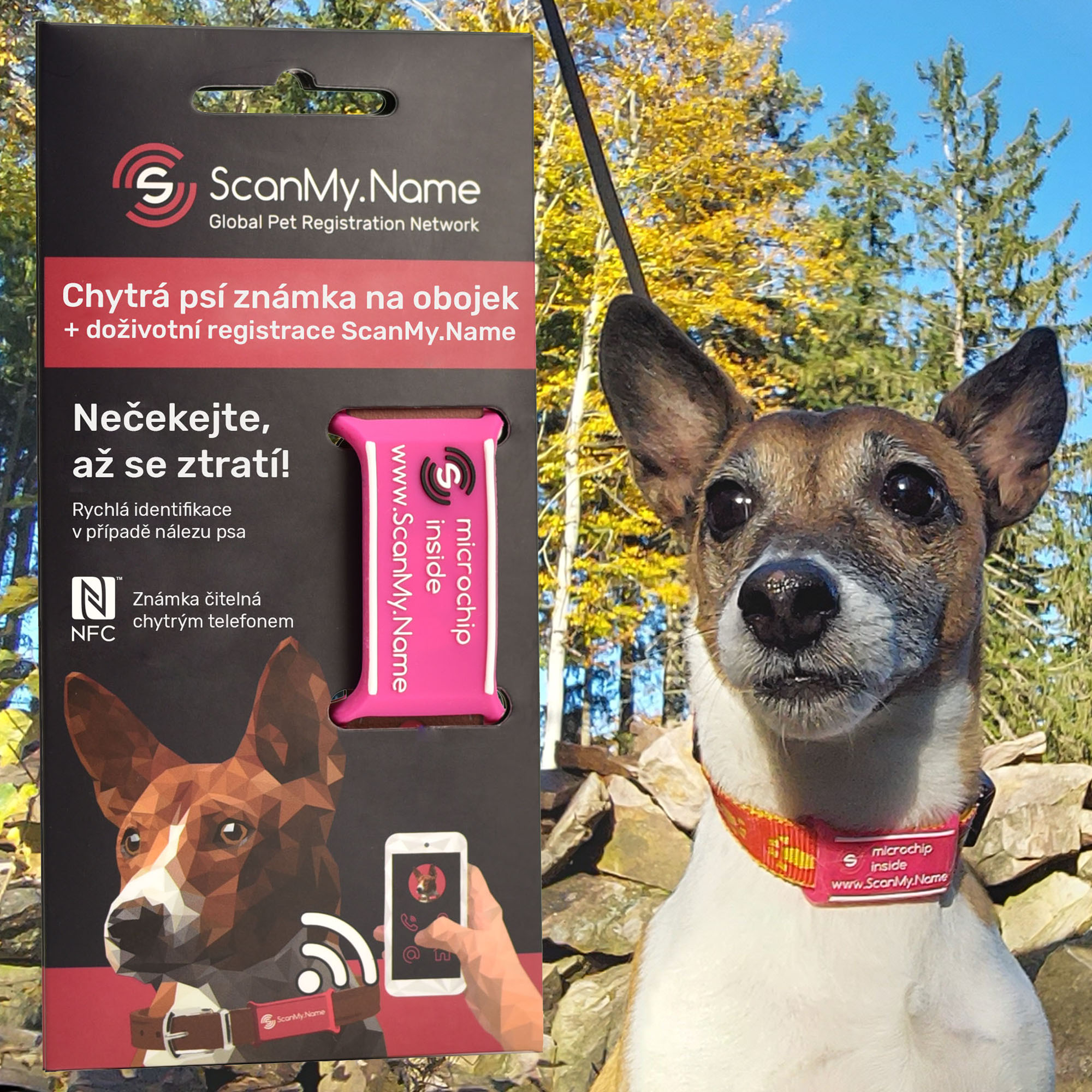 ScanMy.Name chytrá psí známka s čipem - Růžová