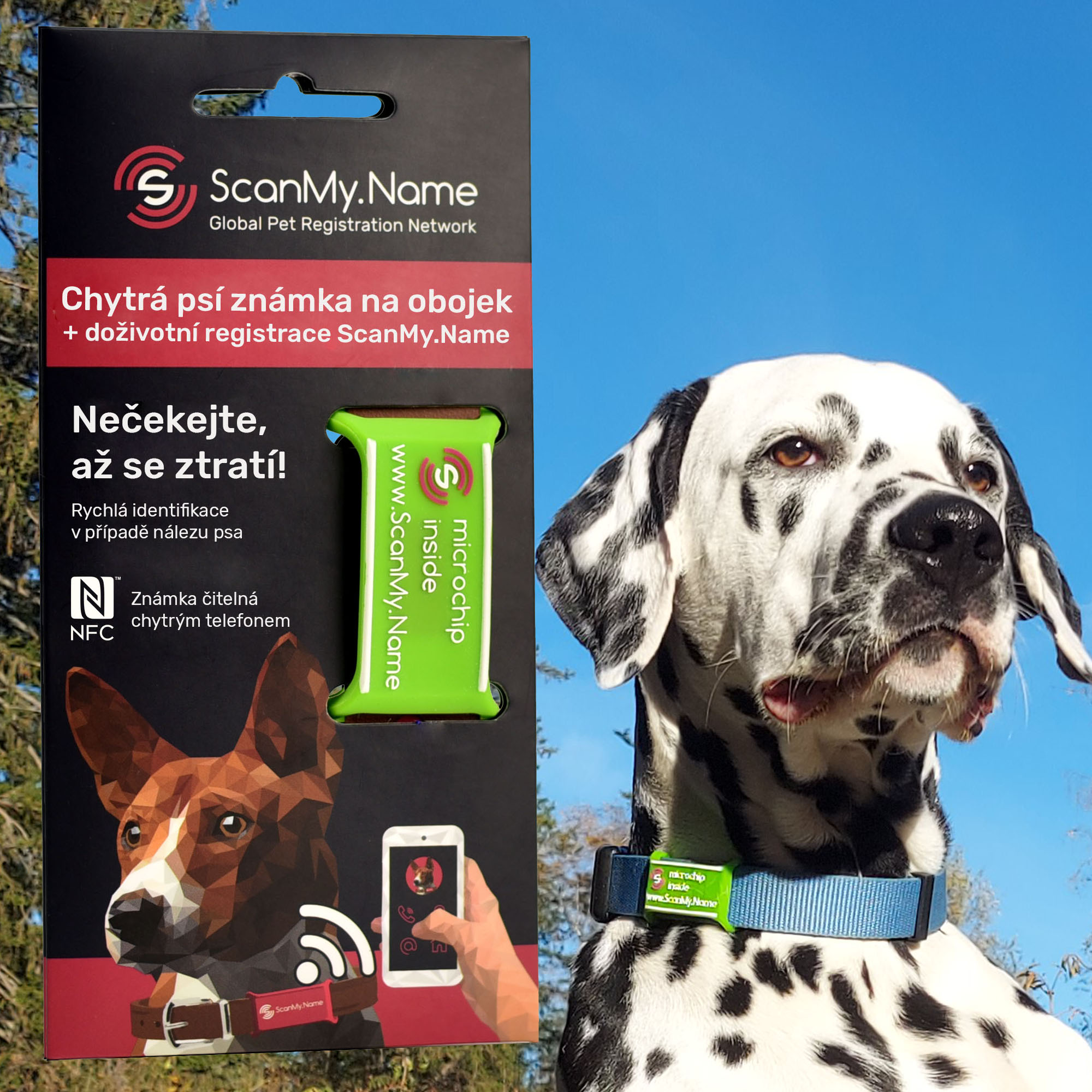 ScanMy.Name chytrá psí známka s čipem - Zelená
