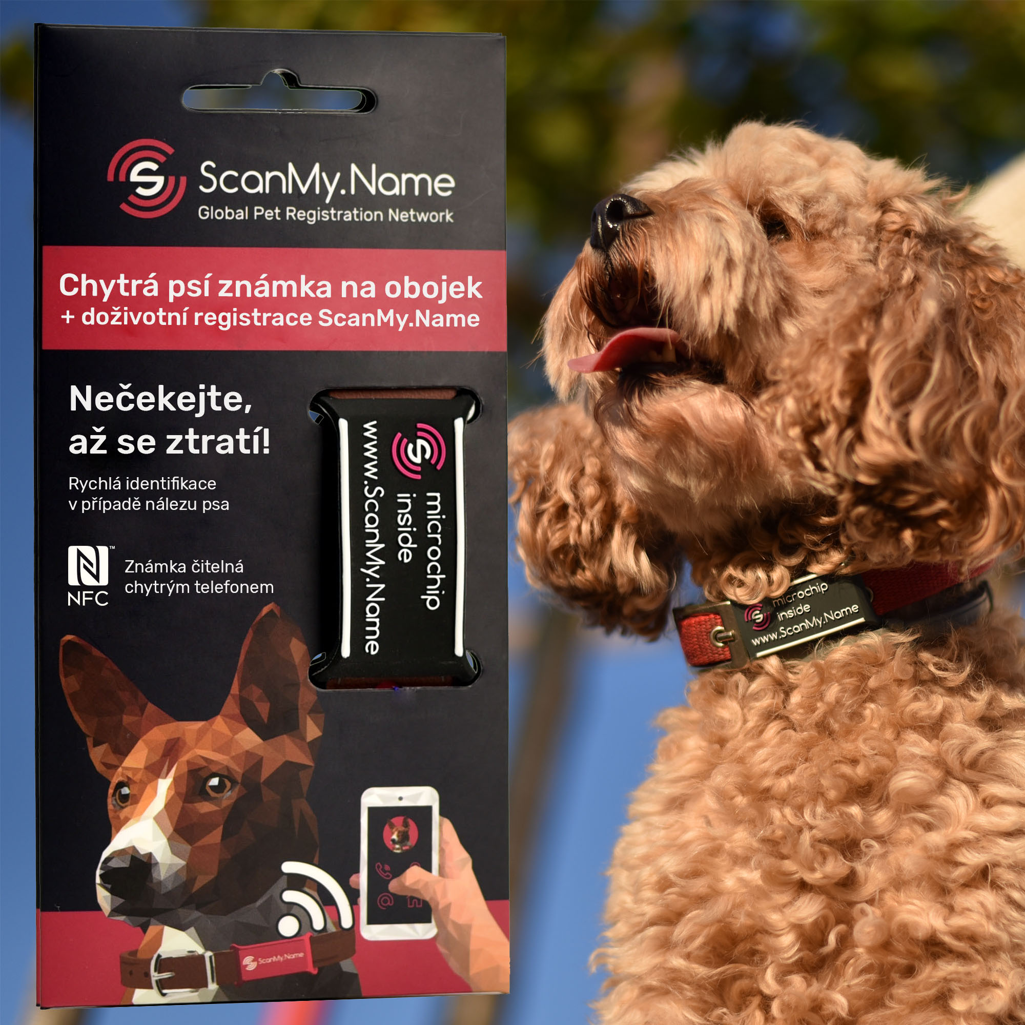 ScanMy.Name chytrá psí známka s čipem - Antracit