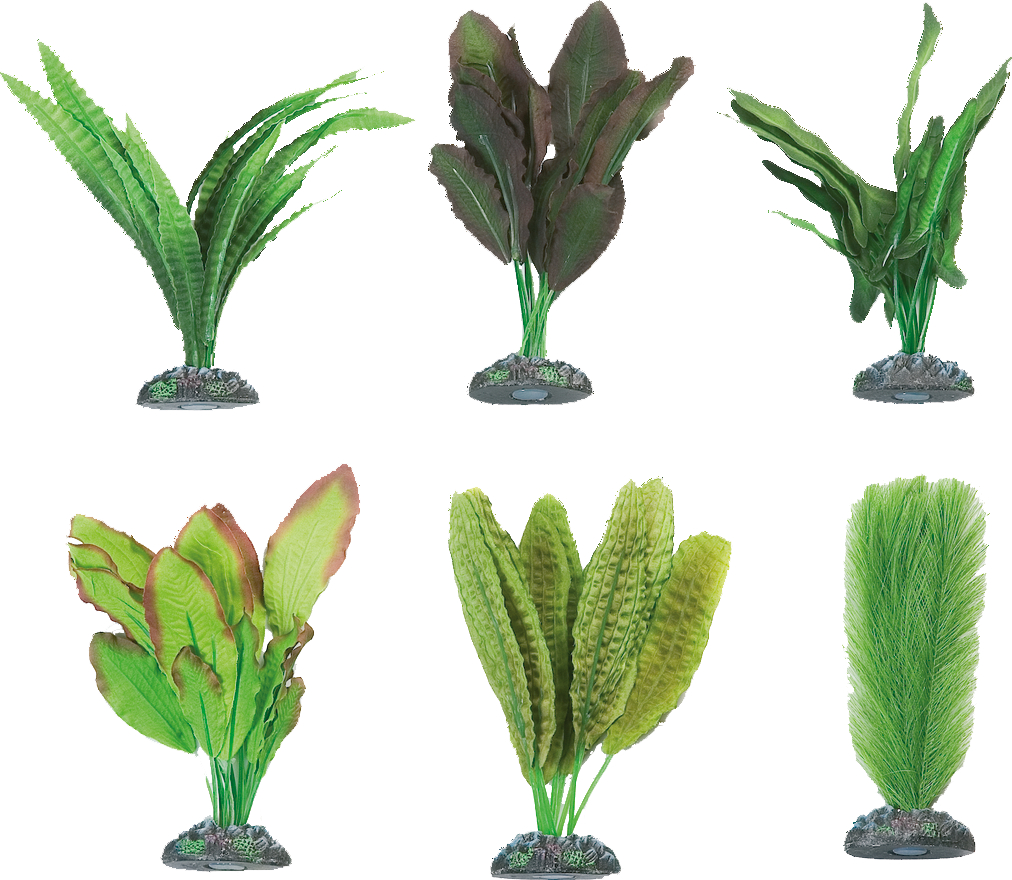 Flamingo akvarijní rostliny mix CONGO S