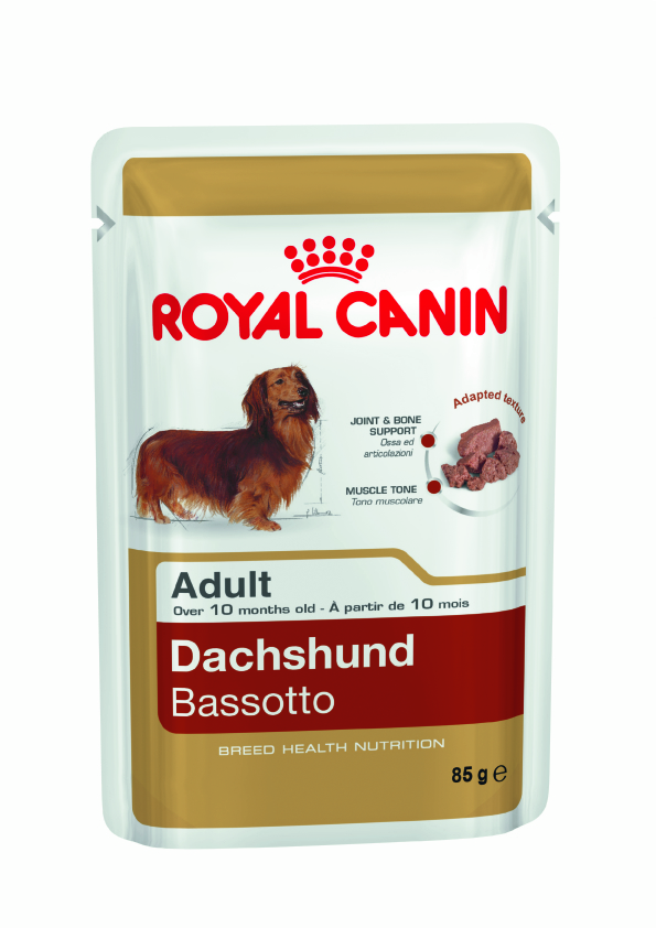 Levně Royal Canin kapsička JEZEVČÍK 85 g