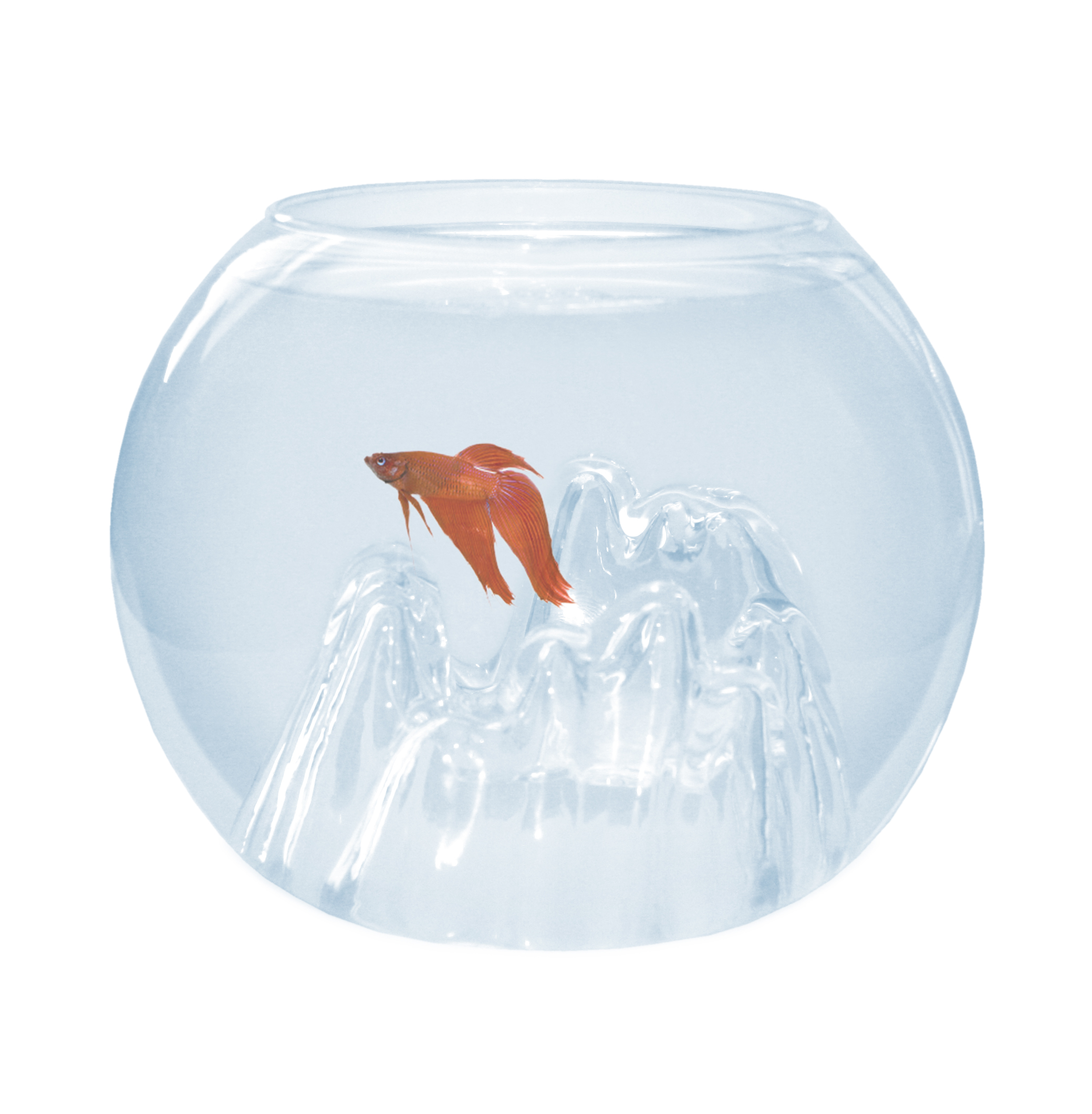 Cat-gato CATGATO Akvárium koule hory 18 cm