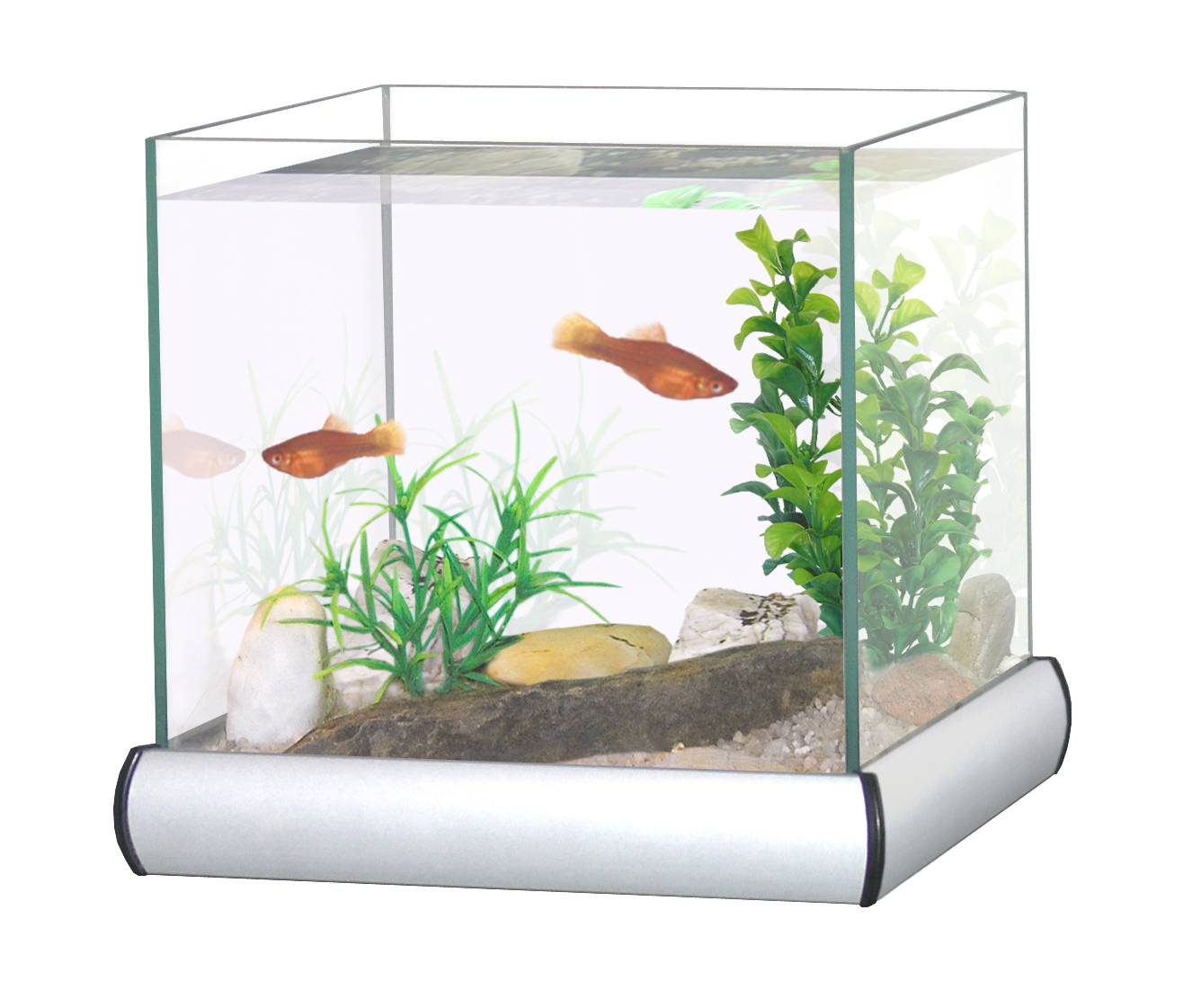 Cat-gato CATGATO Akvárium Cubic hliníkové 20x20x20 cm