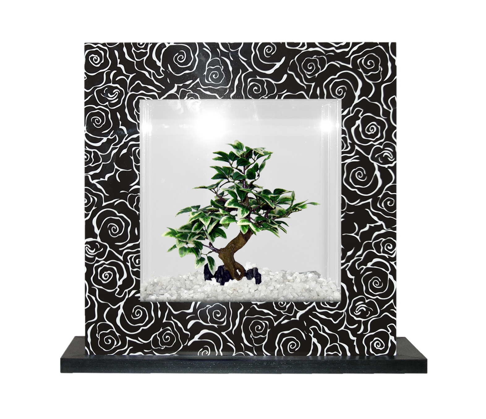 Cat-gato CATGATO Akvárium Millenium černé 39x39x12 cm