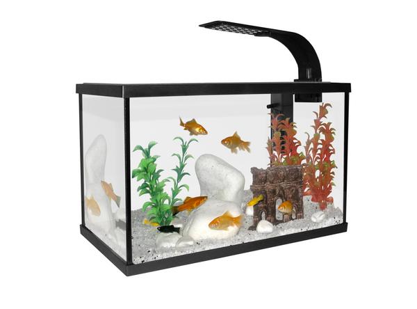 CAT-GATO Akvarijní Set 40 x 20 x 25 cm 20 L černý