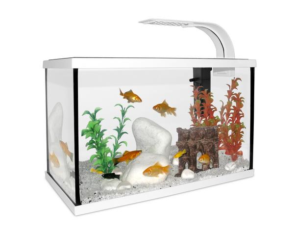 CAT-GATO Akvarijní Set 40 x 20 x 25 cm 20 L bílý