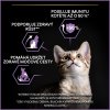 Pro Plan Cat Healthy Start Kitten kuře 10kg