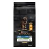 Pro Plan Dog Healthy Start Puppy Large Robust kuře 12kg