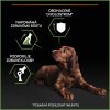 Pro Plan Dog Healthy Start Puppy Large Athletic kuře 3kg