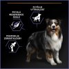 Pro Plan Dog Performance Adult All Sizes kuře 14 kg