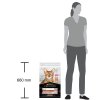 Pro Plan Cat Vital Function Adult losos 10kg