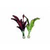 Biorb akvarijní hedvábná rostlina purpurová/zelená M