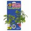 Betta Plant – rostlinka na sklo