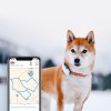 Tractive GPS Tracker DOG 4 pro psy