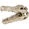 Akvarijní dekorace TRIXIE Lebka z krokodýla velká 14 cm