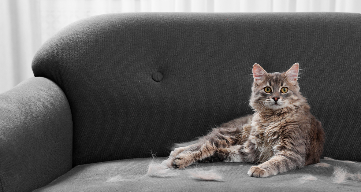 Linanie a preperovanie na jeseň