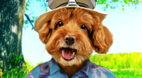 Akčný leták august 2022