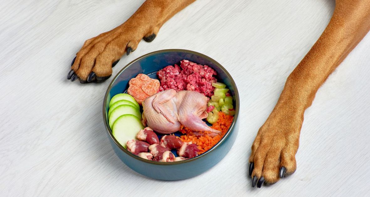 Veterinárka radí: Prečo mať ovocie a zeleninu v granuliach