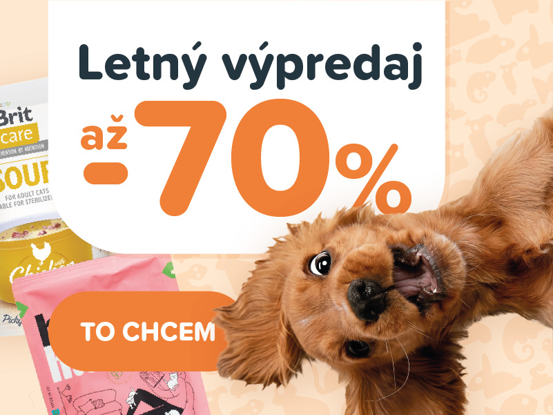 Letný výpredaj (mobil)