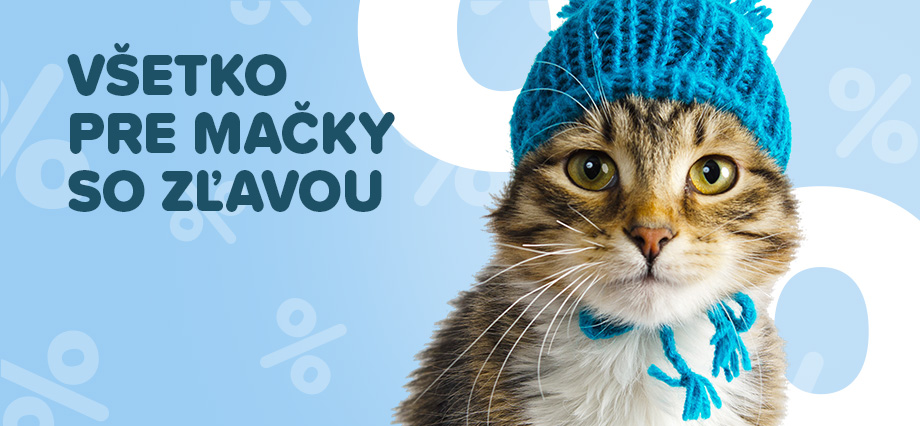 Novoroční výprodej kočka
