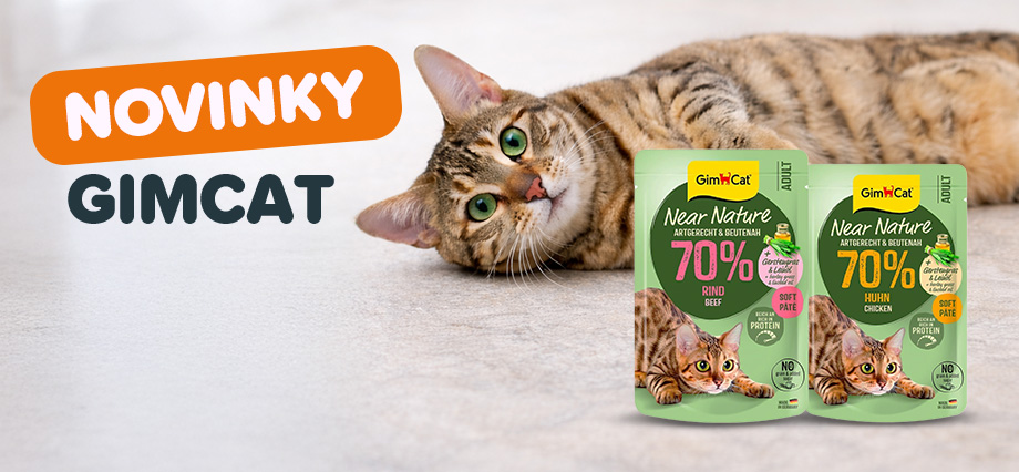 Novinky Gimcat