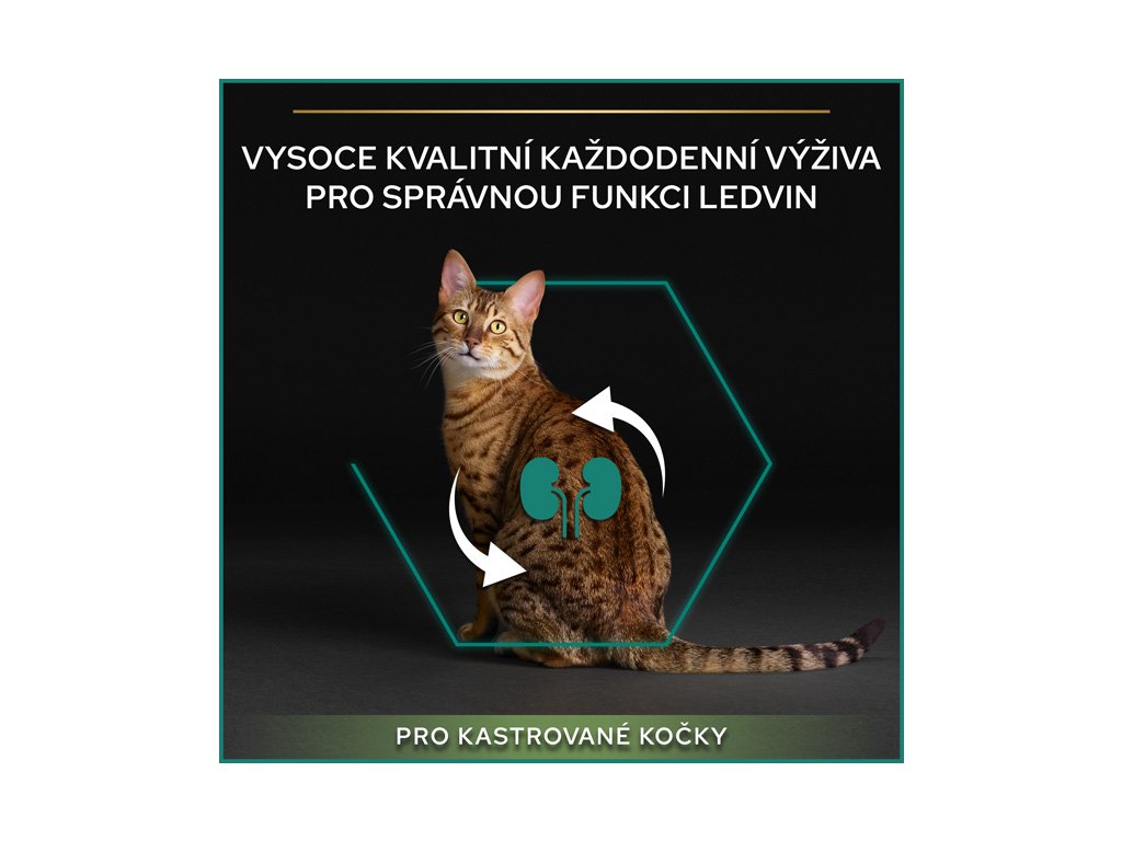 Purina Pro Plan Cat Sterilised Salm. 1,5 kg