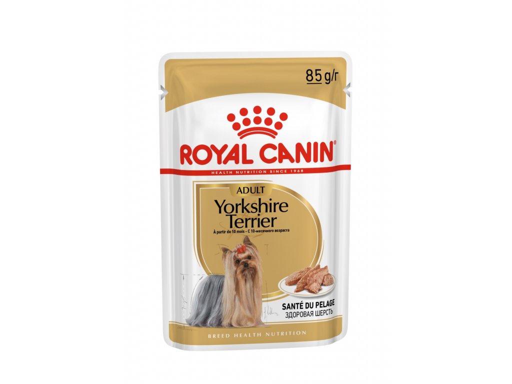 5052 royal canin yorkshire loaf pastika 12x85g