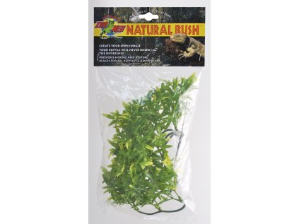 Teráriová rastlina Zoomed Bolivian Croton S