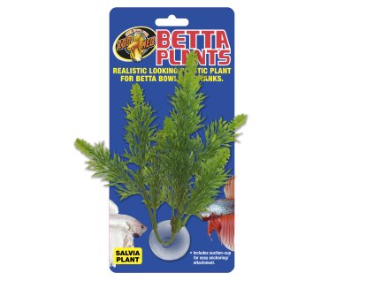 Betta Plant – Šalvia