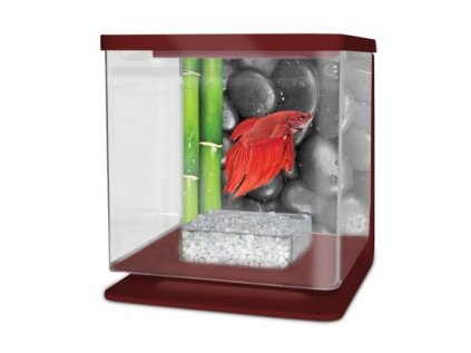 Cat-Gato Betarium Betta kit stones 2l