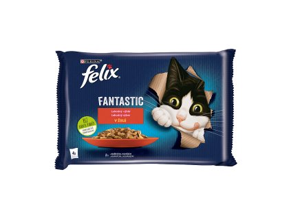 Kapsička Felix Fantastic multipack hovädzie a kura v želé 4 x 85 g