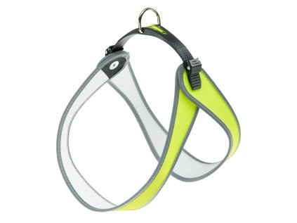 Postr.FER AGILA SUN 7 HARNESS