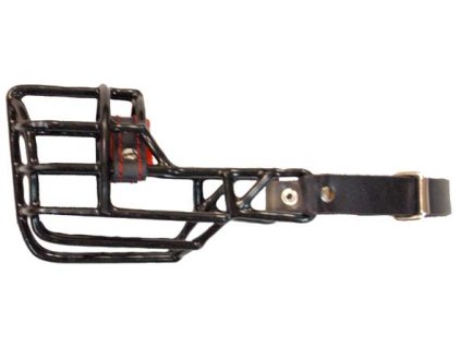 Nahub.LKPET  cerny/Kz ang.bulterier-F-0527