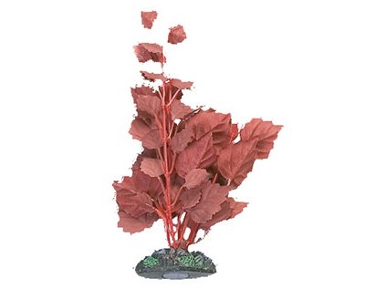 Rostl.akv.KARLIE Silk Egypt Plant2 M