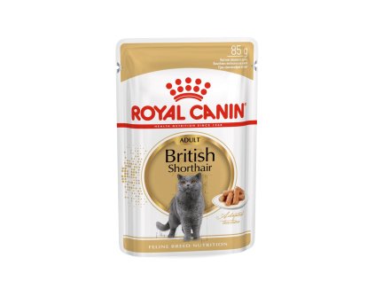 Royal Canin British Shorthair gravy v šťave 85 g