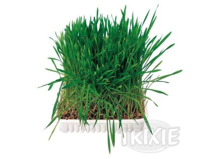 Trixie Tráva pre hlodavcov v miske 100g