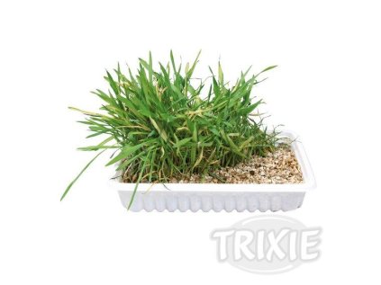 Trixie Tráva pre mačku v sáčku 100g