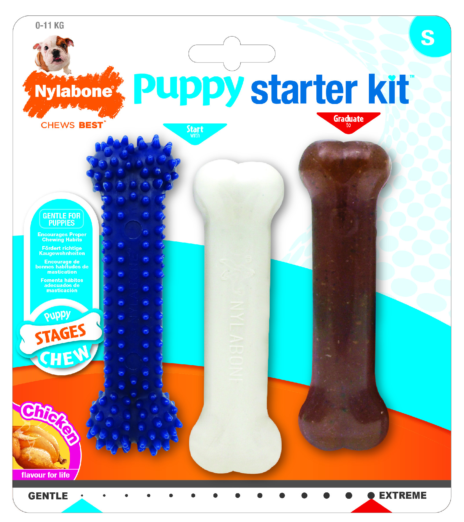 E-shop Nylabone Hračka NYLAB Puppy Starter Kit 3 ks S