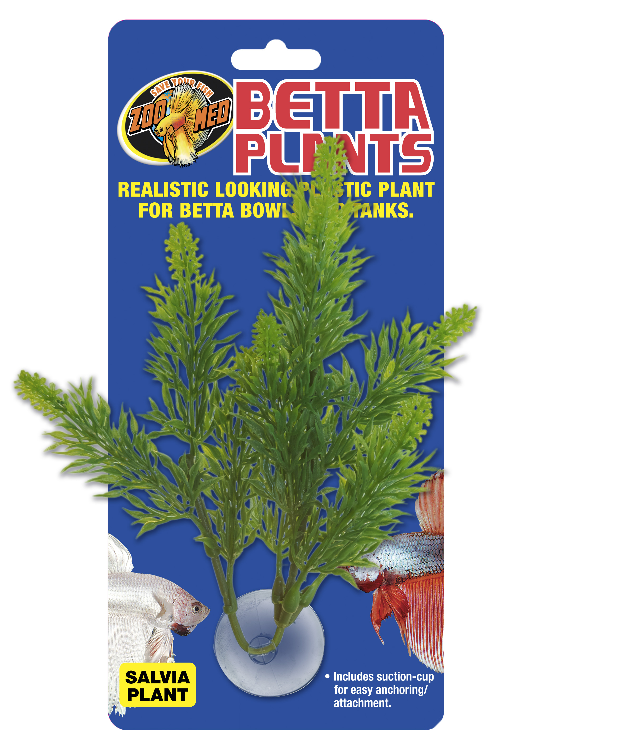 E-shop Zoomed Betta Plant – Šalvia