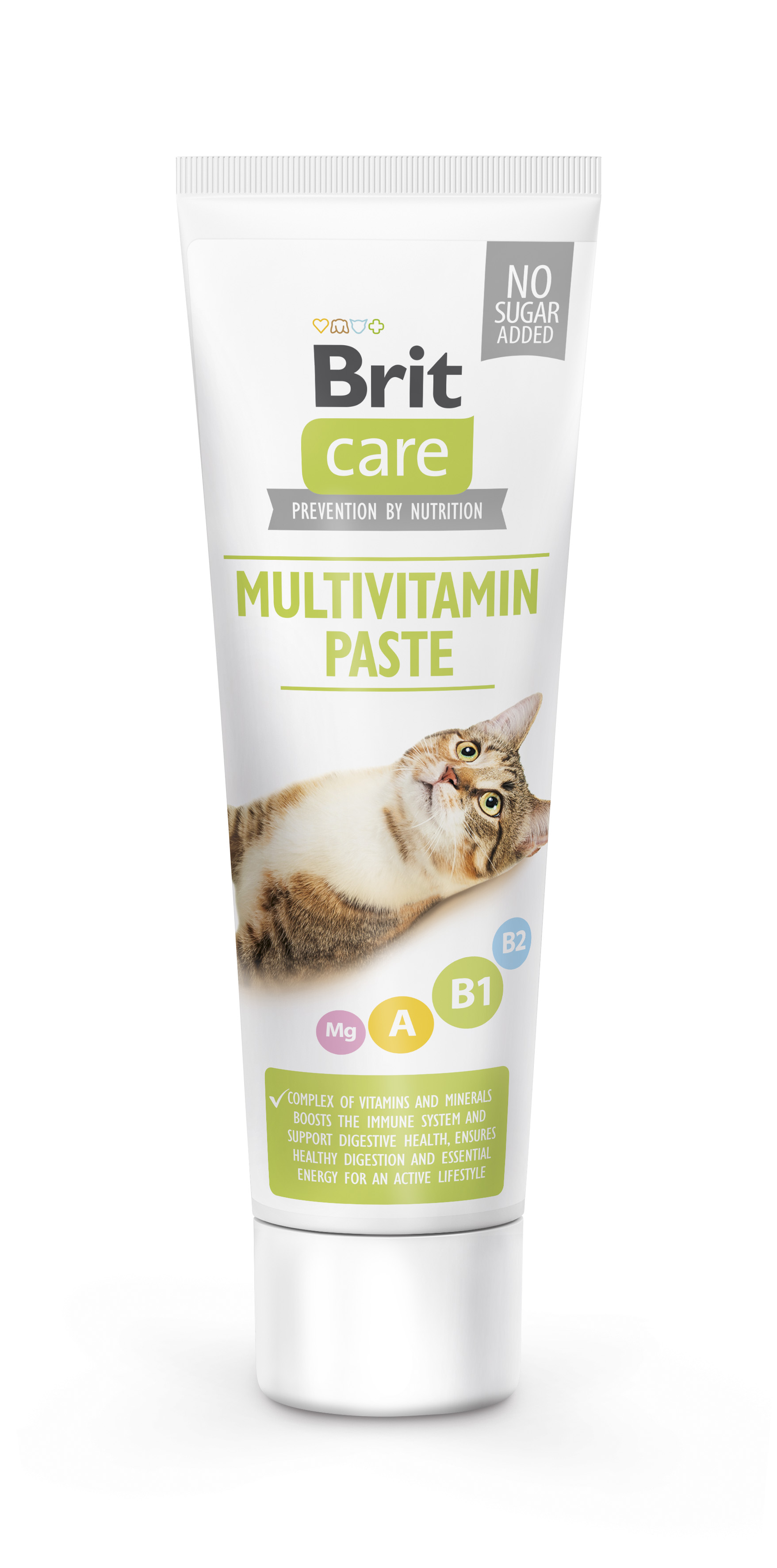 E-shop Brit Care Cat Paste Multivitamin 100 g