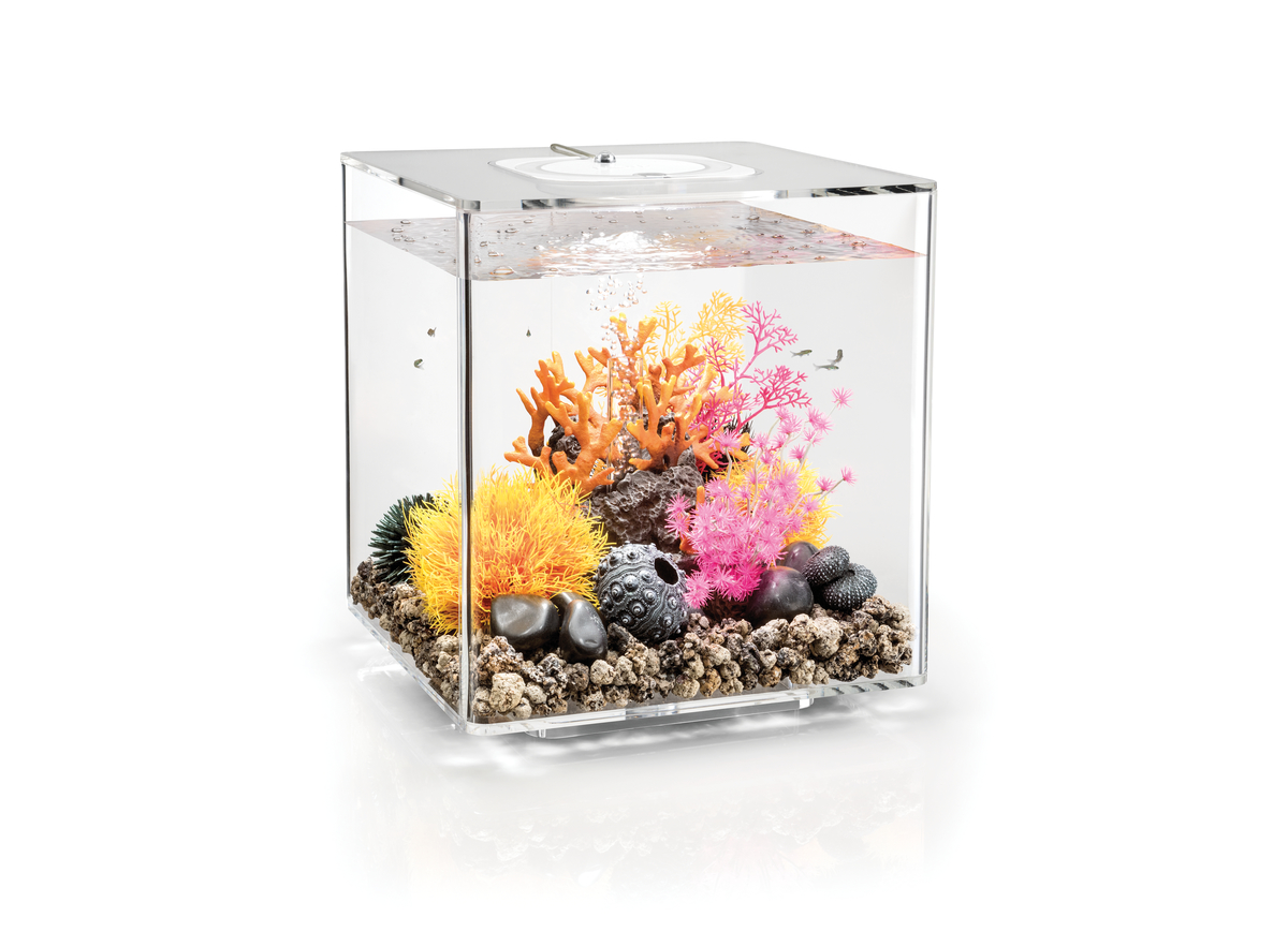 E-shop Akvárium BIORB CUBE MCR tranparent 30l