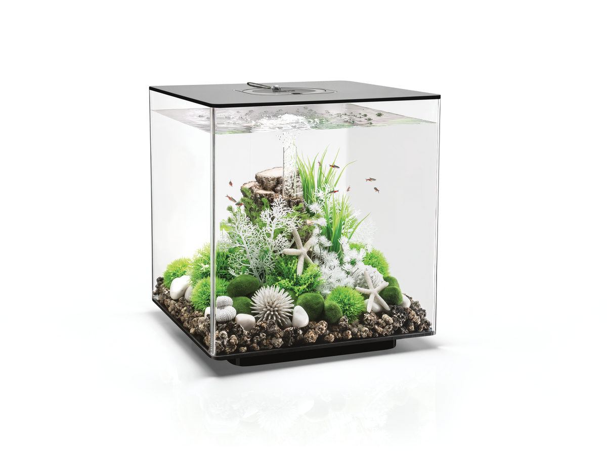 E-shop Akvárium BIORB CUBE MCR čierne 60l