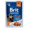 Kapsička Brit Premium Cat Delicate Fillets in Gravy with Turkey 85 g