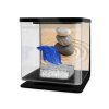 CATGATO Betarium Betta kit sand 2l