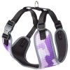 Postr.FER NIKITA FASHION HARNESS PURPLE S