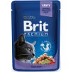 Kapsička Brit Cat Premium Pouches treska 100 g